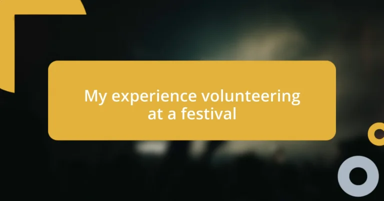 My experience volunteering at a festival