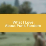 What I Love About Punk Fandom