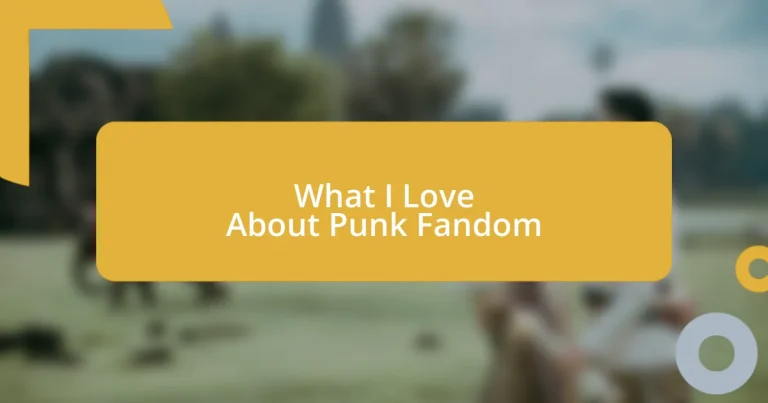 What I Love About Punk Fandom