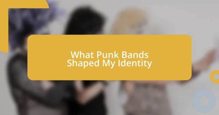 What Punk Bands Shaped My Identity