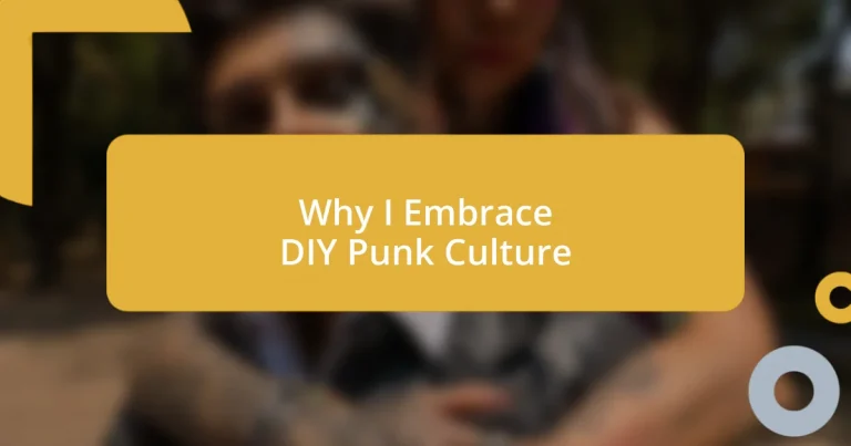 Why I Embrace DIY Punk Culture